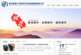 西昌镇城市开发投资集团有限公司