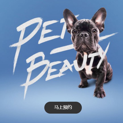 西昌镇宠物中心小程序开发