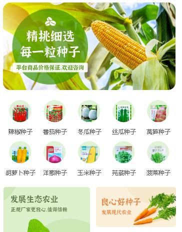 西昌镇农业小程序开发