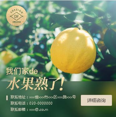 西昌镇果园果林小程序开发